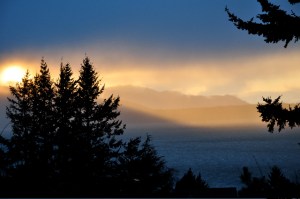 Room with a view; from my kitchen.