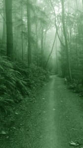 2012-09-27_09-51-54_674