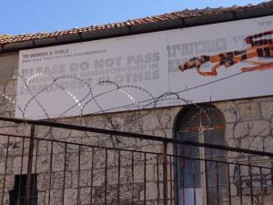 263338_10151177242346300_821595785_n