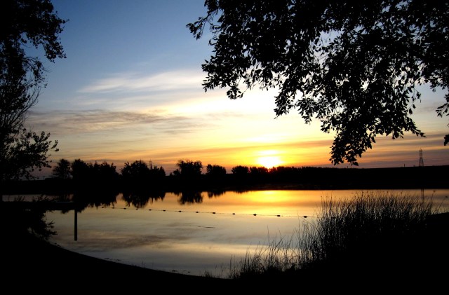 The Delta, pretty much as "I remember" it. Image: www.snugharbor.com