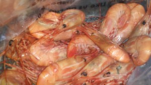 Spot prawns scream summer!