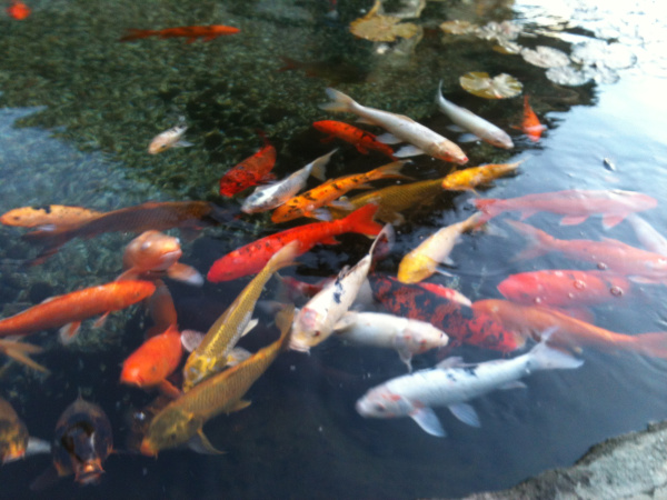 Image: Douglas M. Macllroy