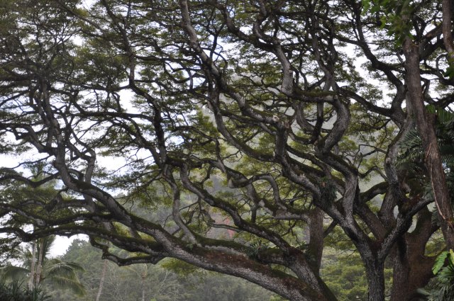 © TalesFromtheMotherland