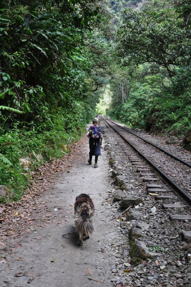 The final miles. My girl and Machu, the dog who adopted us... for part of the journey.