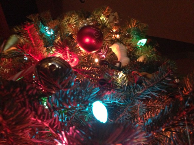 Gazing up through the tree... taking in the magic.