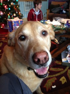 Luke loves Christmas morning!