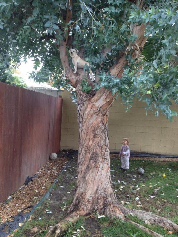 Photo: Rochelle Wisoff-Fields