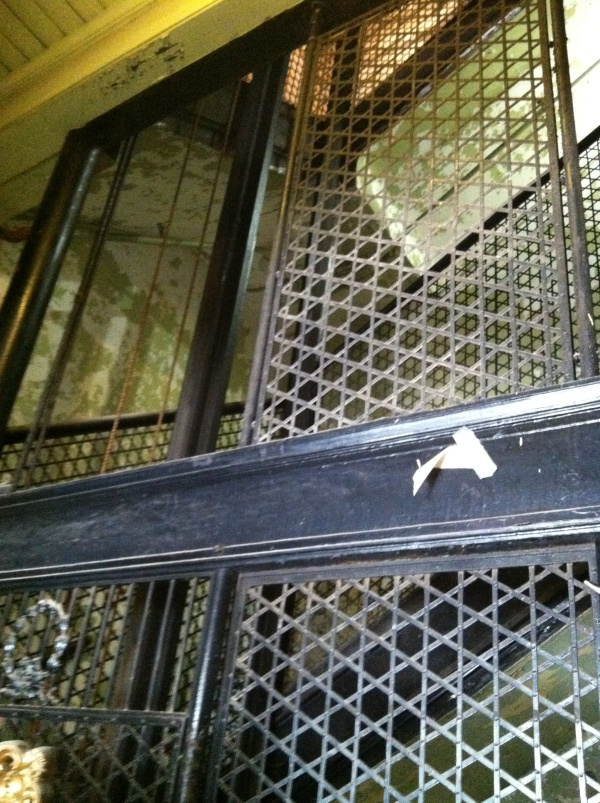 © Rochelle Wisoff-Fields