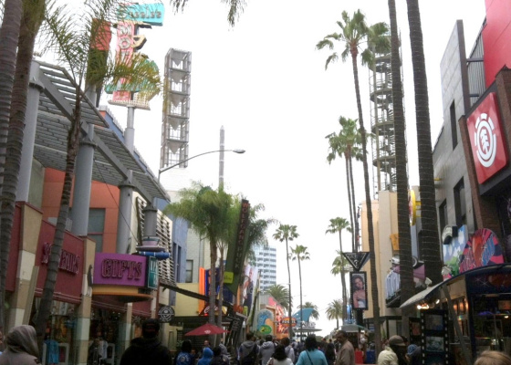 ©Rochelle Wisoff-Fields