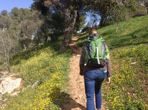 Sometimes, you take a short cut... which is also a hill to climb