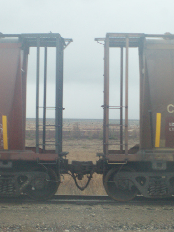 © Jennifer Pendergast