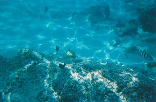 undersea-st-thomas-4